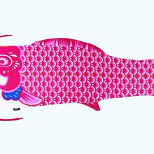 Afbeelding in Gallery-weergave laden, Laundry bag vis - Koinobori - Doiy by The Wow Effect Company