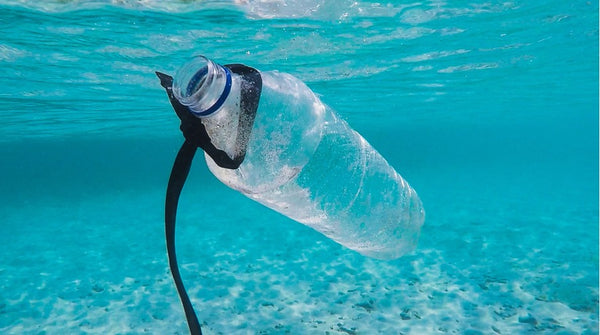 Samen de oceanen beschermen, zo kun jij je steentje bijdragen!
