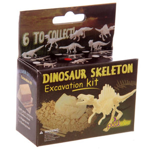 Dinosaurus skelet opgravingsset