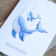 Wenskaart Walvis Geboorte - Juulz Illustrations - A6 met envelop
