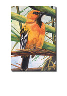 Wenskaart - Venezuela vogel - Waterkunst